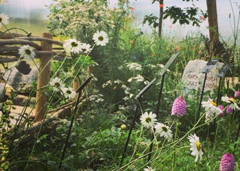Kinvara Inn Attractions Burren Nature Sanctuary